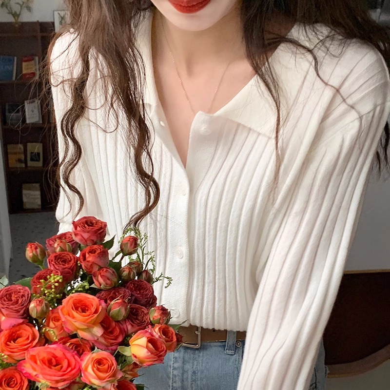 Women's Polo Knit Cardigan 2026 Autumn Winter Slim Fit Inner Top